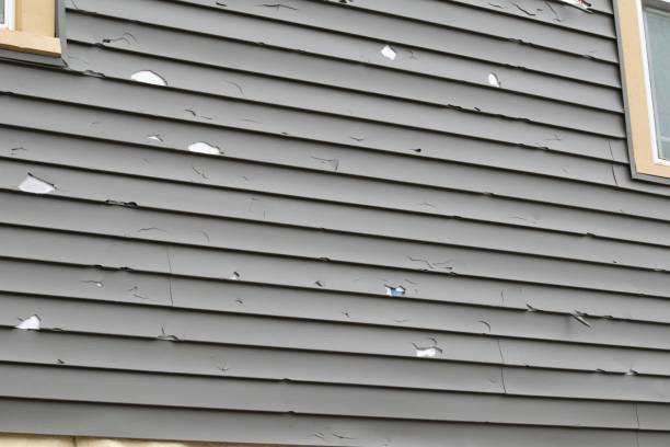 Best Composite Siding  in Robinhood, MS